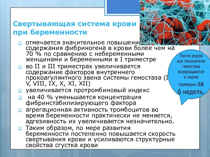 Свертывающая система крови при беременности отмечается значительное повышение содержания фибриногена в крови