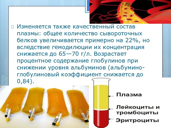 Изменяется также качественный состав плазмы: общее количе­ство сывороточных белков увеличивается примерно на