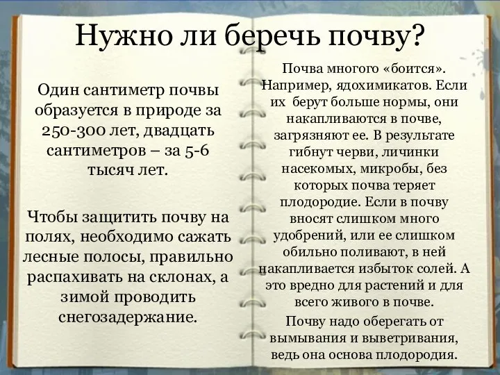 Нужно ли беречь почву? Один сантиметр почвы образуется в природе за 250-300