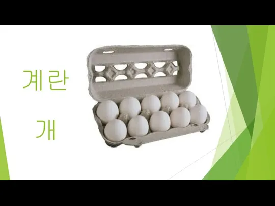 계란 개