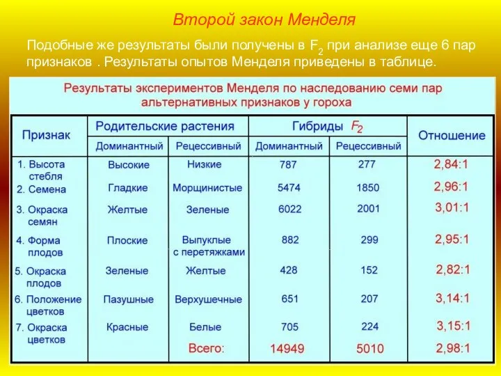 Второй закон Менделя Подобные же результаты были получены в F2 при анализе