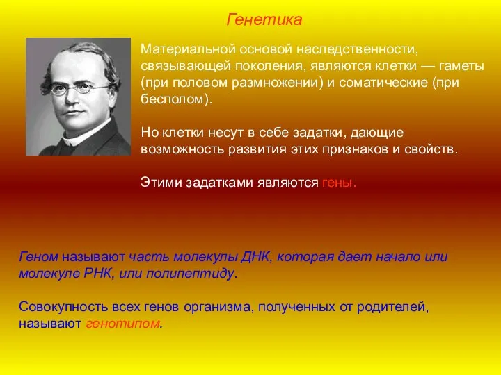 Материальной основой наследственности, связывающей поколения, являются клетки — гаметы (при половом размножении)