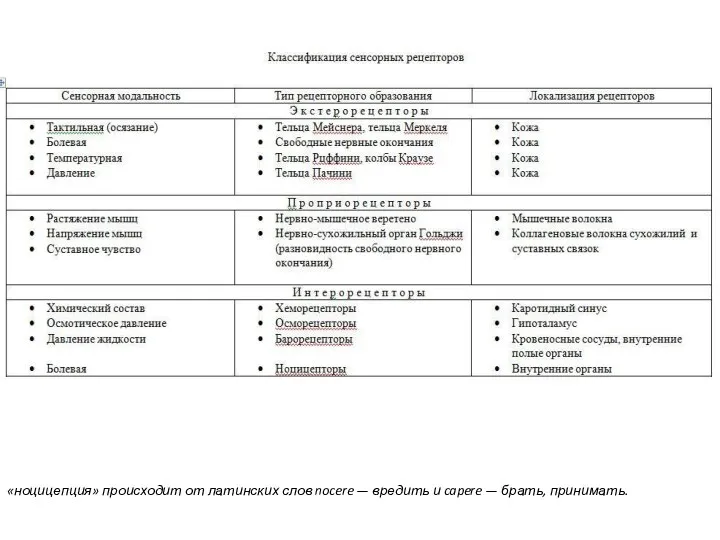 «ноцицепция» происходит от латинских слов nocere — вредить и capere — брать, принимать.