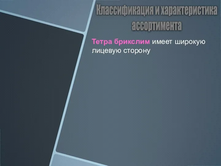 Классификация и характеристика ассортимента Тетра брикслим имеет широкую лицевую сторону