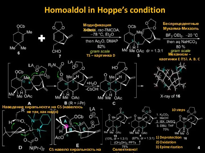 Homoaldol in Hoppe’s condition