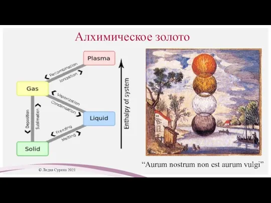 Алхимическое золото “Aurum nostrum non est aurum vulgi” © Лидия Сурина 2021