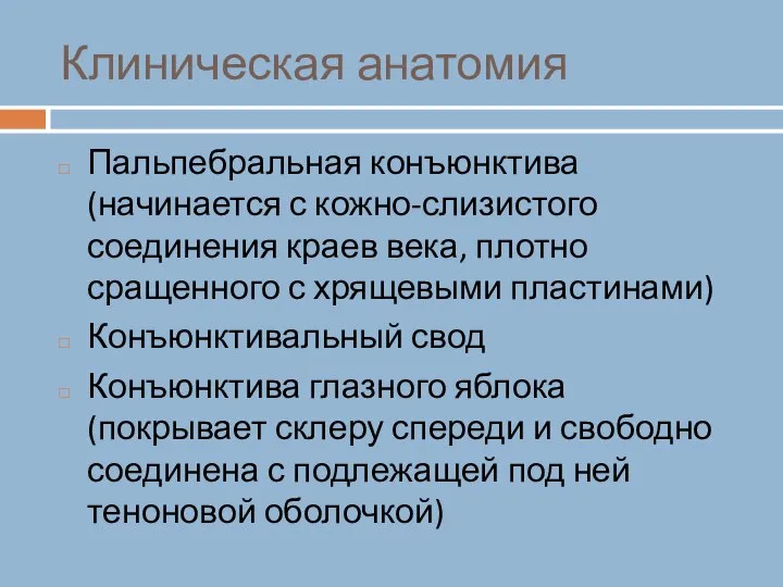 Клиническая анатомия Пальпебральная конъюнктива (начинается с кожно-слизистого соединения краев века, плотно сращенного