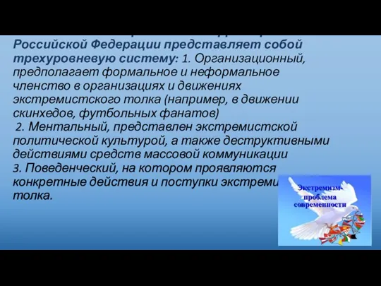 Молодежный экстремизм на территории Российской Федерации представляет собой трехуровневую систему: 1. Организационный,