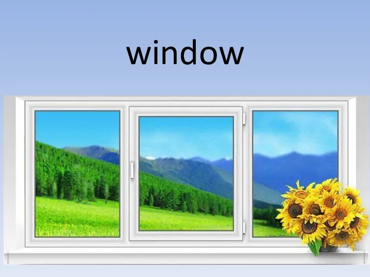 window