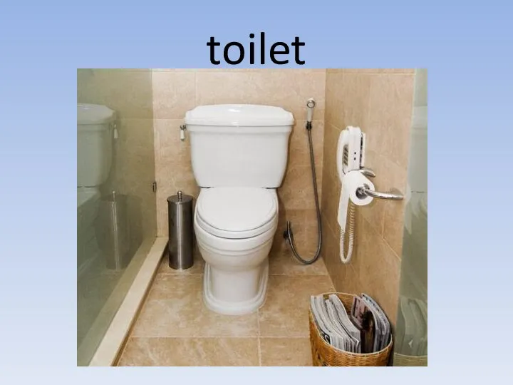 toilet