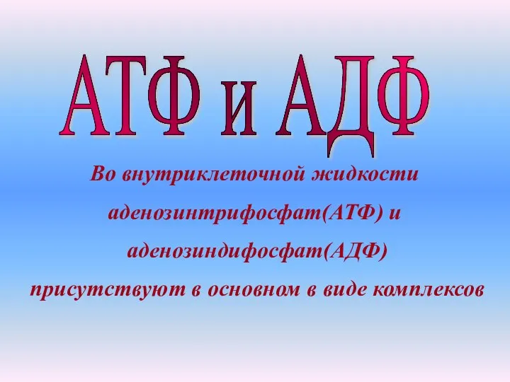 АТФ и АДФ Во внутриклеточной жидкости аденозинтрифосфат(АТФ) и аденозиндифосфат(АДФ) присутствуют в основном в виде комплексов