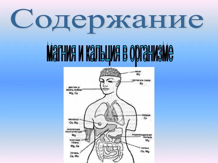 Содержание магния и кальция в организме