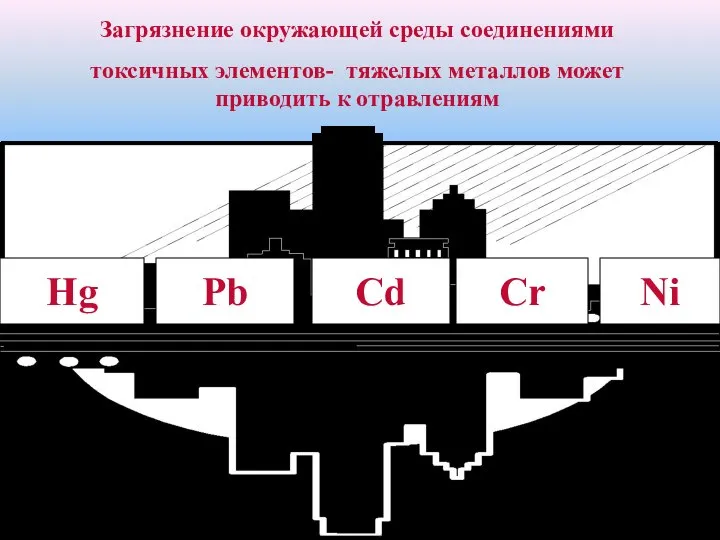 Загрязнение окружающей среды соединениями токсичных элементов- тяжелых металлов может приводить к отравлениям