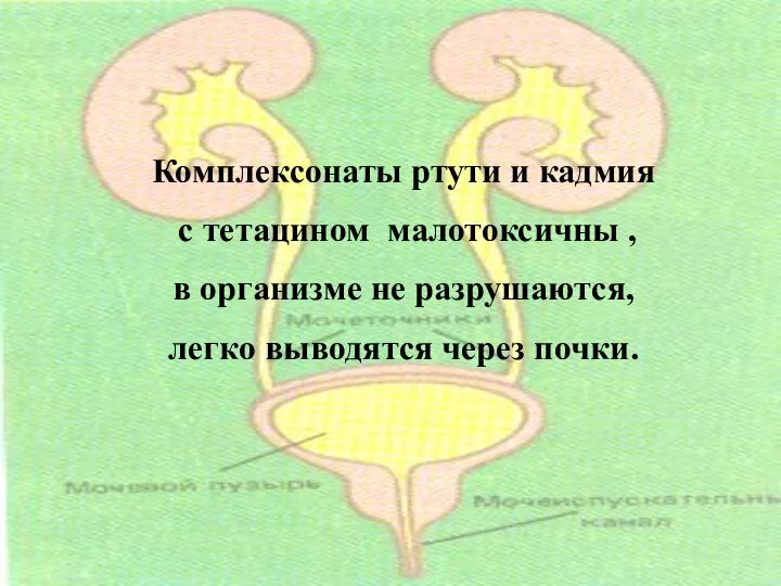 Комплексонаты ртути и кадмия с тетацином мало токсичны, в организме не разрушаются,