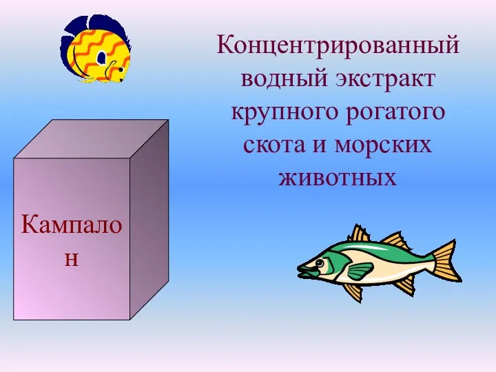 Кампалон Концентрированный водный экстракт крупного рогатого скота и морских животных