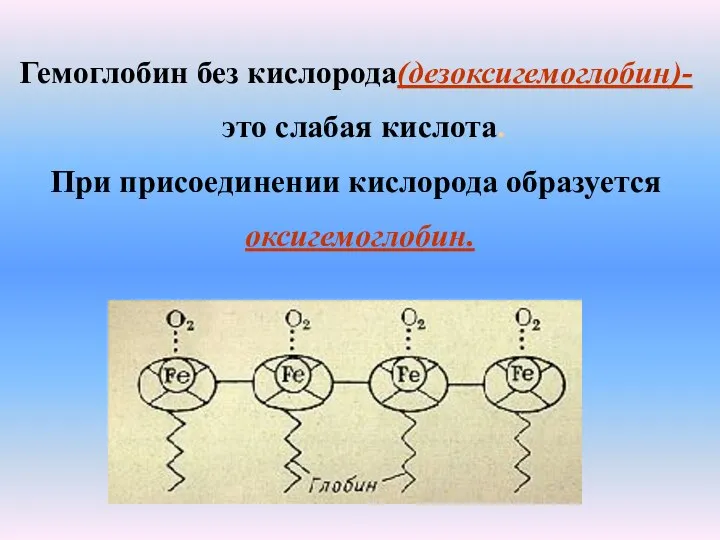 Гемоглобин без кислорода(дезоксигемоглобин)- это слабая кислота. При присоединении кислорода образуется оксигемоглобин.