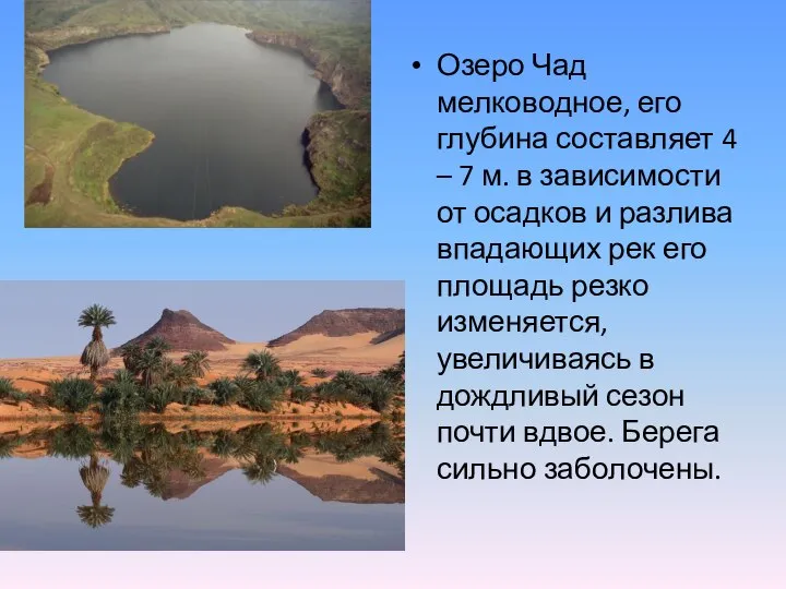 Озеро Чад мелководное, его глубина составляет 4 – 7 м. в зависимости
