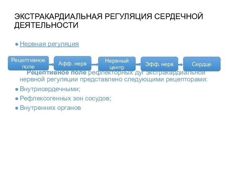 ЭКСТРАКАРДИАЛЬНАЯ РЕГУЛЯЦИЯ СЕРДЕЧНОЙ ДЕЯТЕЛЬНОСТИ Нервная регуляция Рецептивное поле рефлекторных дуг экстракардиальной нервной