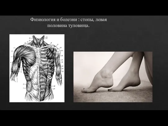 Физиология и болезни : стопы, левая половина туловища.