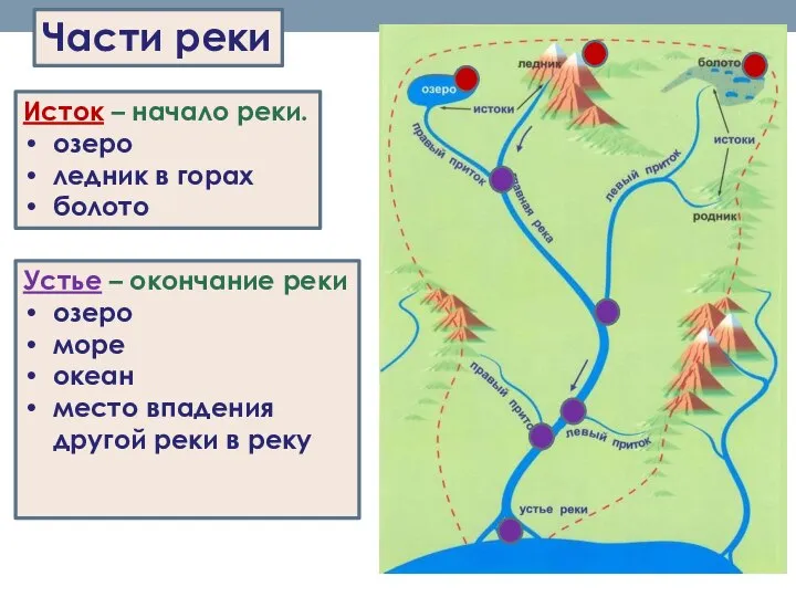 Части реки Исток – начало реки. озеро ледник в горах болото Устье