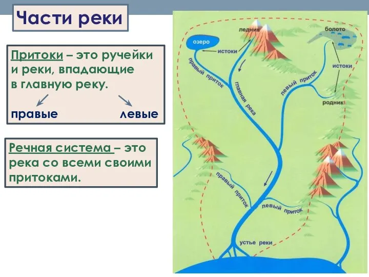 Части реки Притоки – это ручейки и реки, впадающие в главную реку.