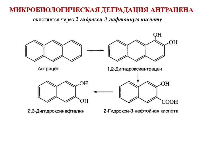 МИКРОБИОЛОГИЧЕСКАЯ ДЕГРАДАЦИЯ АНТРАЦЕНА окисляется через 2-гидрокси-3-нафтойную кислоту