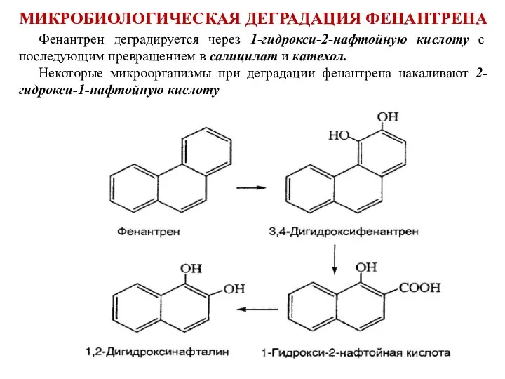 Фенантрен деградируется через 1-гидрокси-2-нафтойную кислоту с последующим превращением в салицилат и катехол.