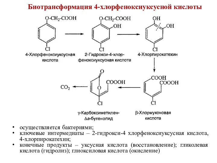 Биотрансформация 4-хлорфеноксиуксусной кислоты осуществляется бактериями; ключевые интермедиаты – 2-гидрокси-4 хлорфеноксиуксусная кислота, 4-хлорпирокатехин;