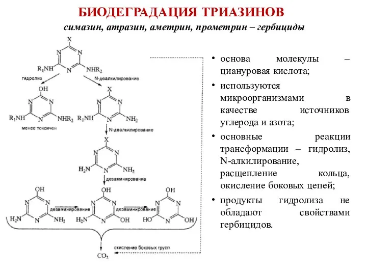 БИОДЕГРАДАЦИЯ ТРИАЗИНОВ симазин, атразин, аметрин, прометрин – гербициды основа молекулы – циануровая