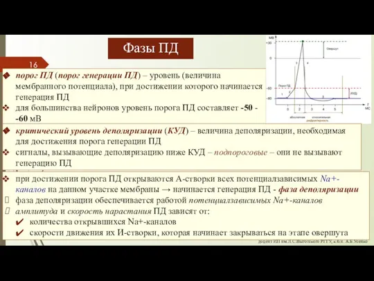 порог ПД (порог генерации ПД) – уровень (величина мембранного потенциала), при достижении