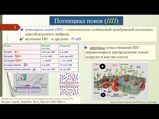 доцент ИП им.Л.С.Выготского РГГУ, к.б.н. А.Б.Усенко Потенциал покоя (ПП) потенциал покоя (ПП)