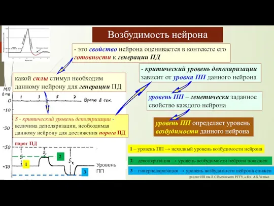 порог ПД S - критический уровень деполяризации - величина деполяризации, необходимая данному