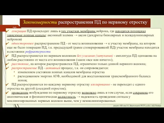 генерация ПД происходит лишь в тех участках мембраны нейрона, где находятся потенциал