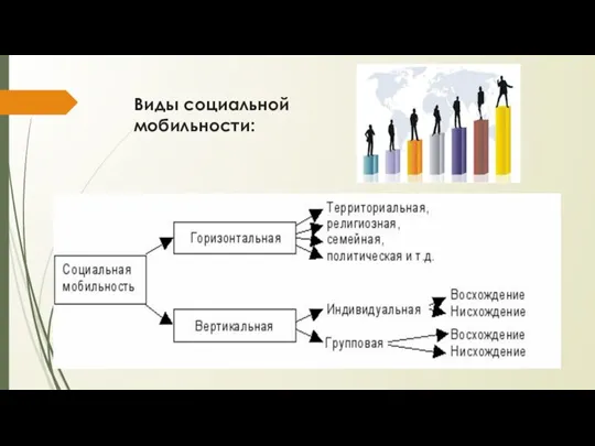 Виды социальной мобильности: