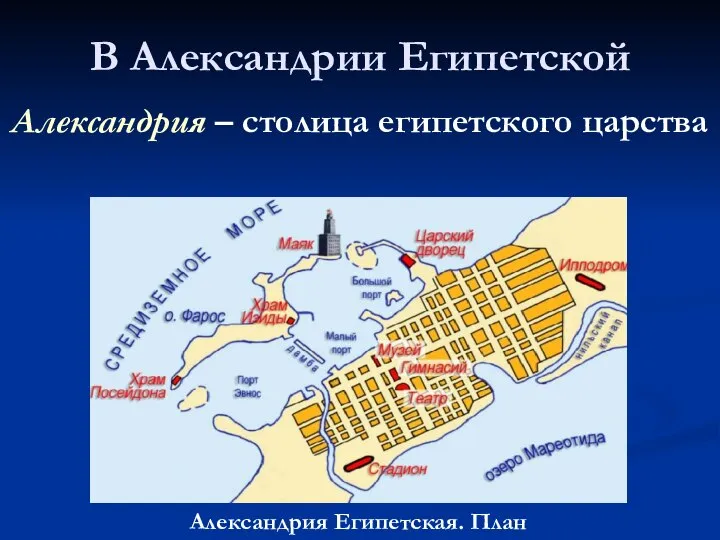 В Александрии Египетской Александрия – столица египетского царства Александрия Египетская. План