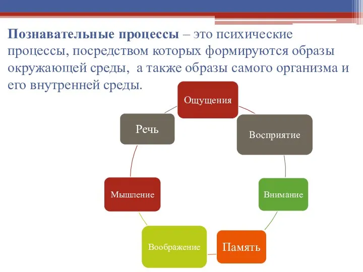 Познавательные процессы – это психические процессы, посредством которых формируются образы окружающей среды,