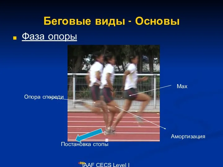 IAAF CECS Level I Lecturers Course Беговые виды - Основы Фаза опоры