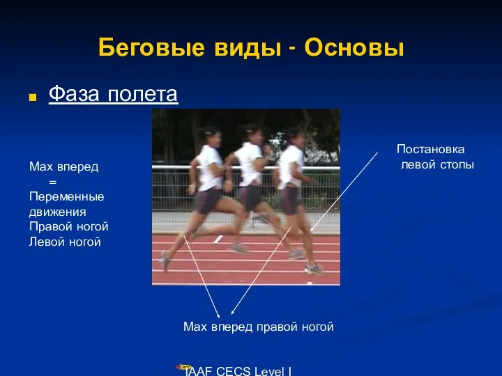 IAAF CECS Level I Lecturers Course Беговые виды - Основы Фаза полета
