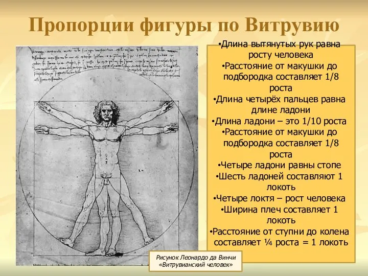 Пропорции фигуры по Витрувию Длина вытянутых рук равна росту человека Расстояние от