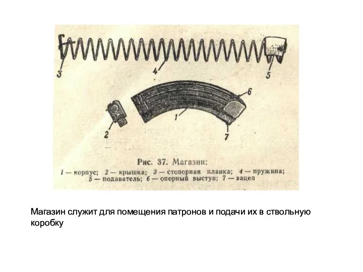 Магазин служит для помещения патронов и подачи их в ствольную коробку Магазин