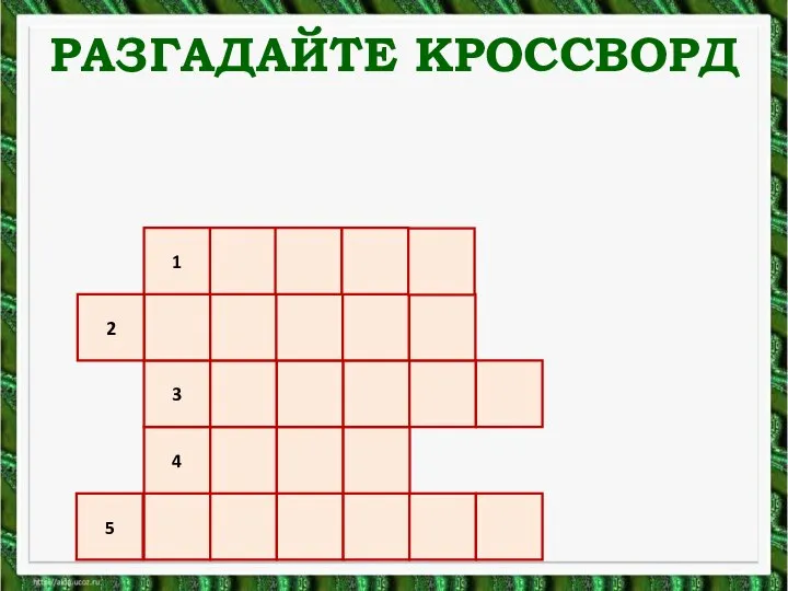 5 4 3 2 1 РАЗГАДАЙТЕ КРОССВОРД