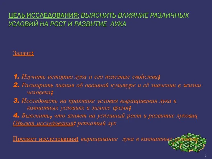 Задачи: 1. Изучить историю лука и его полезные свойства; 2. Расширить знания