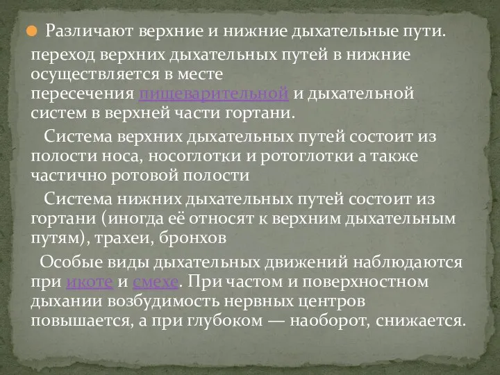 Различают верхние и нижние дыхательные пути. переход верхних дыхательных путей в нижние