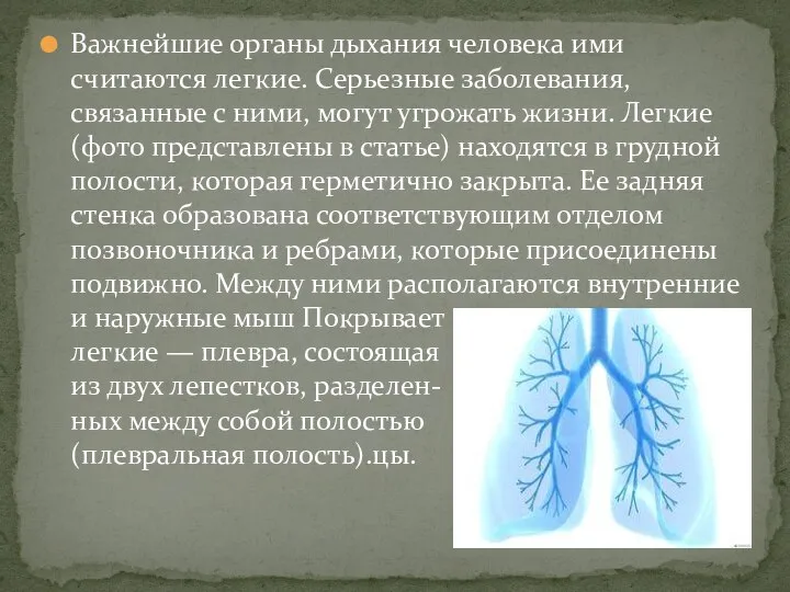 Важнейшие органы дыхания человека ими считаются легкие. Серьезные заболевания, связанные с ними,
