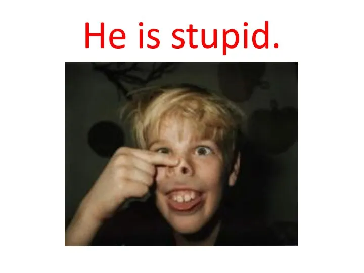 He is stupid.