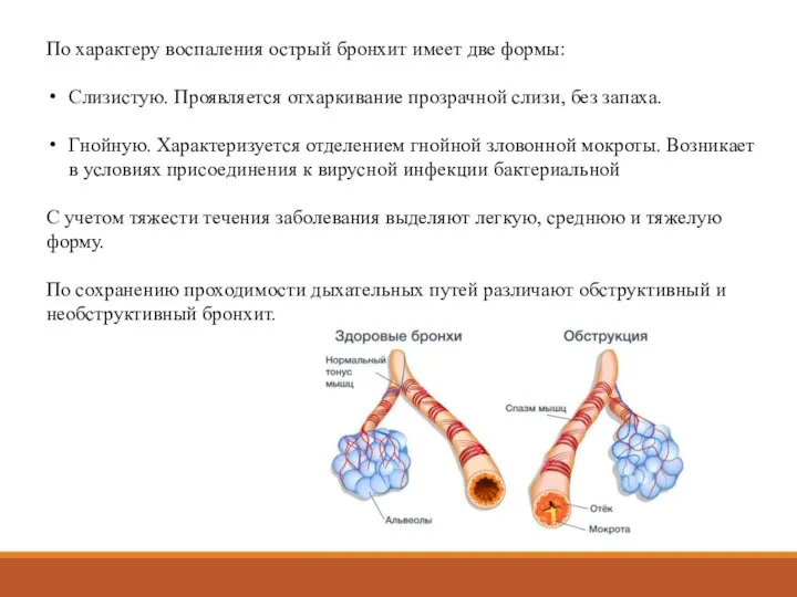 По характеру воспаления острый бронхит имеет две формы: Слизистую. Проявляется отхаркивание прозрачной