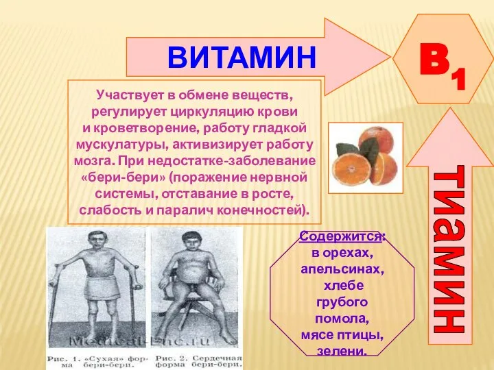 ВИТАМИН B1 Участвует в обмене веществ, регулирует циркуляцию крови и кроветворение, работу