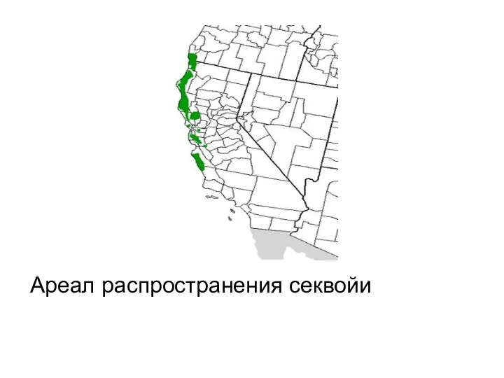 Ареал распространения секвойи