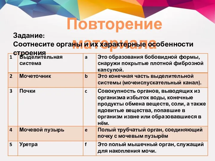 Повторение материала Задание: Соотнесите органы и их характерные особенности строения