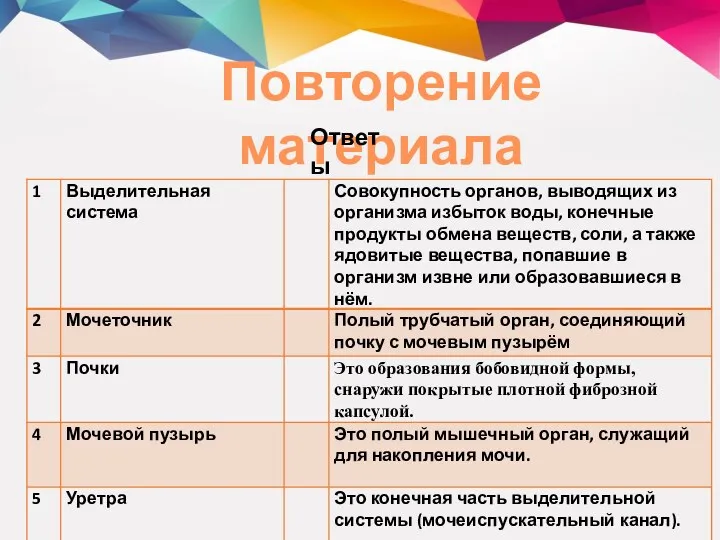 Повторение материала Ответы